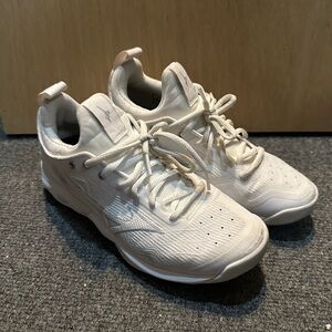 Mizuno Volleyball shoes